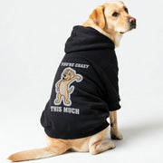 Labrador wearing a 'You're Crazy This Much' hoodie
