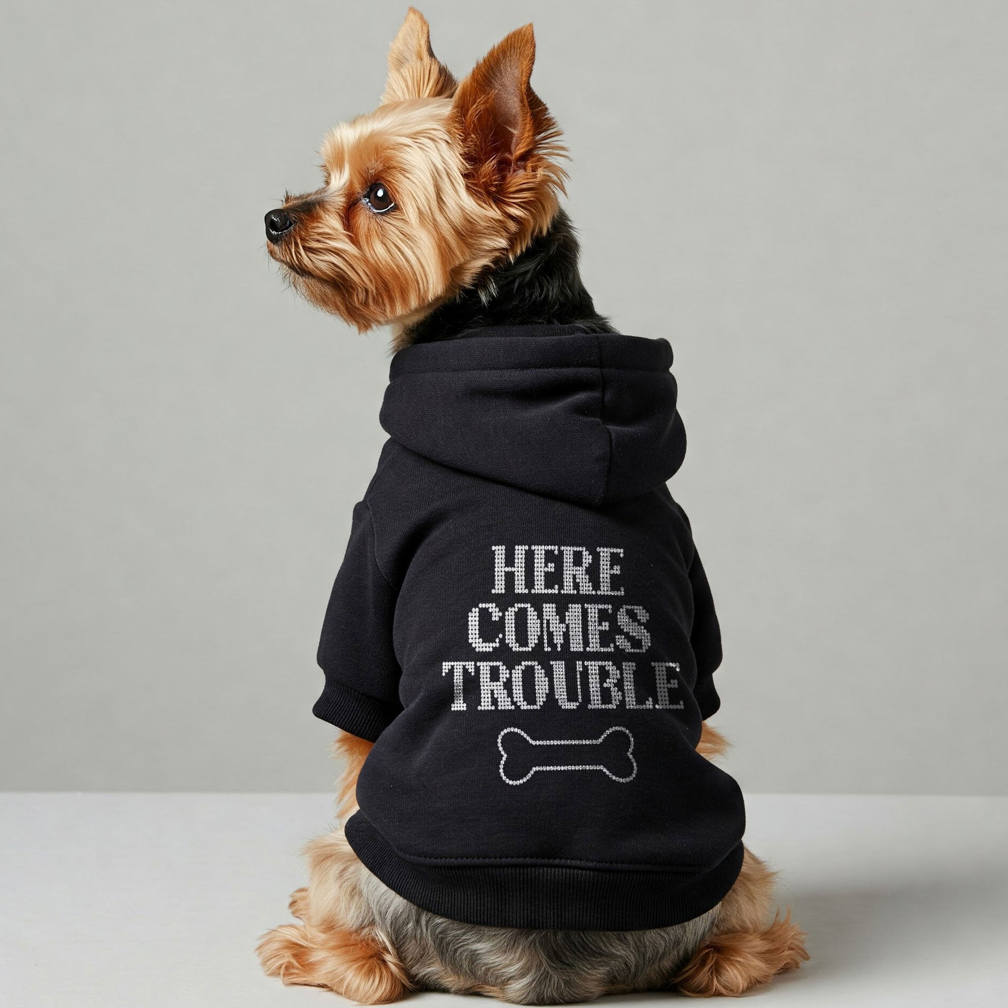 Here Comes Trouble – Dog Hoodie – Dog Clothes