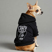 Chihuahua wearing a 'Crazy but Cute' hoodie