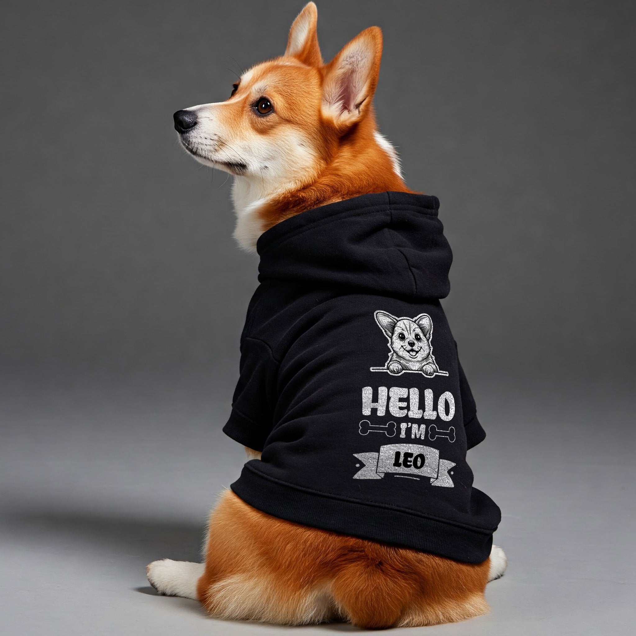 Hello - personalized hoodie with your dog name and breed – dog hoodie – dog clothes