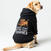 Labrador wearing an 'I Woke Up and Chose Zoomies' hoodie