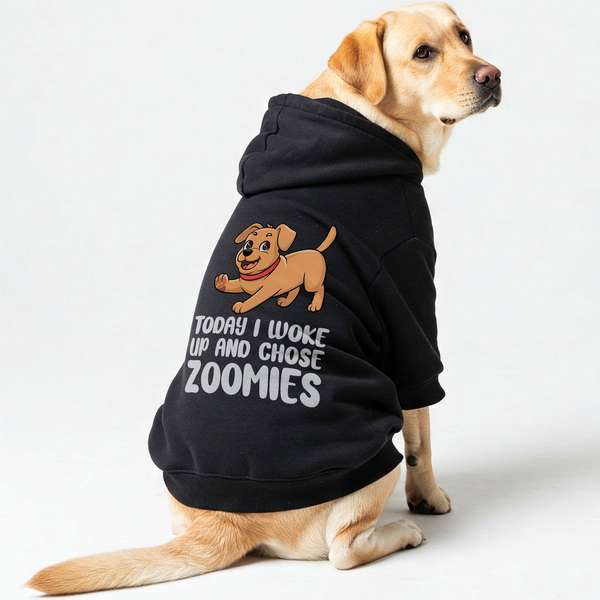 TODAY I WOKE UP AND CHOSE ZOOMIES - Labrador Hoodie - Dog Clothes