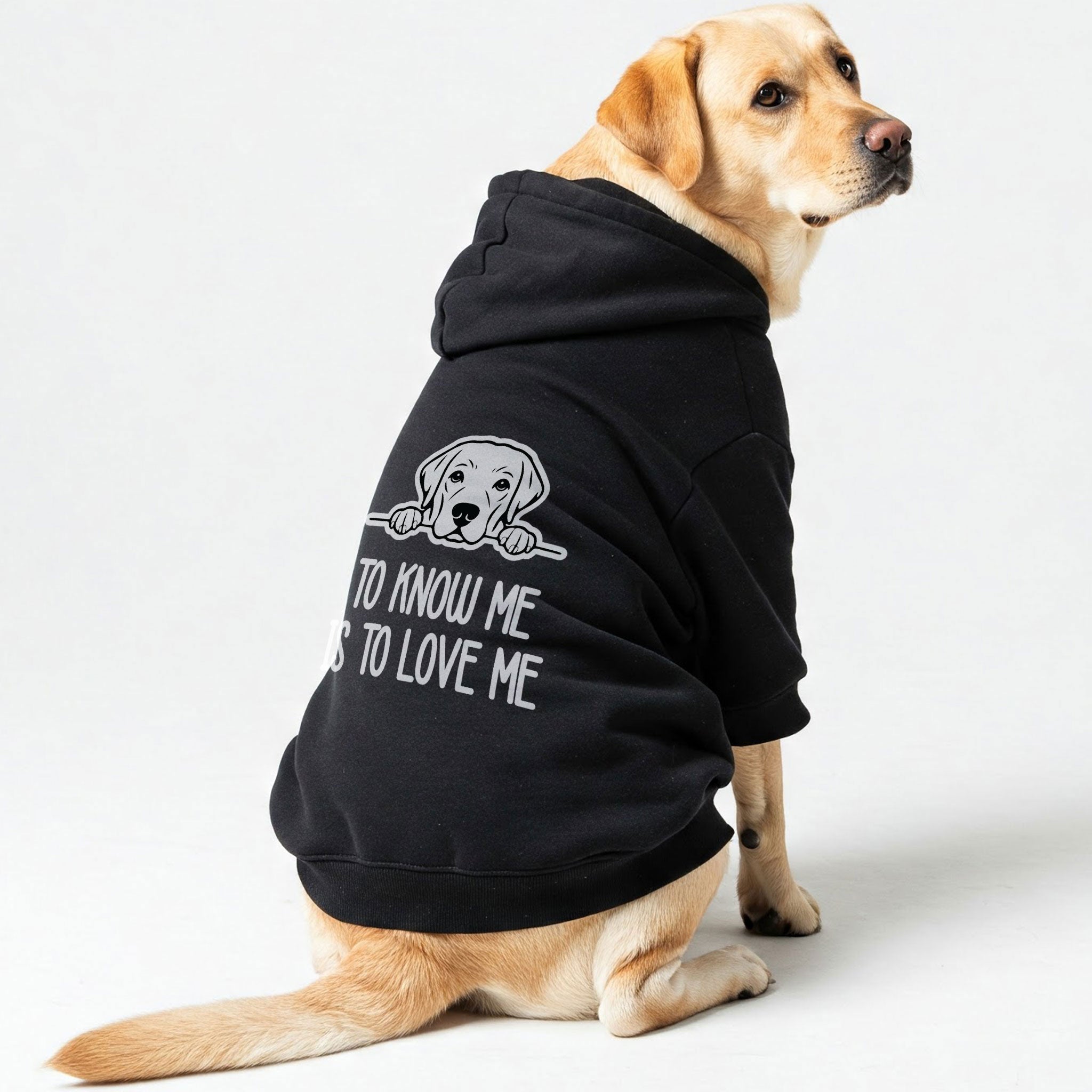 To know me is to love me - Labrador Hoodie - Dog Clothes