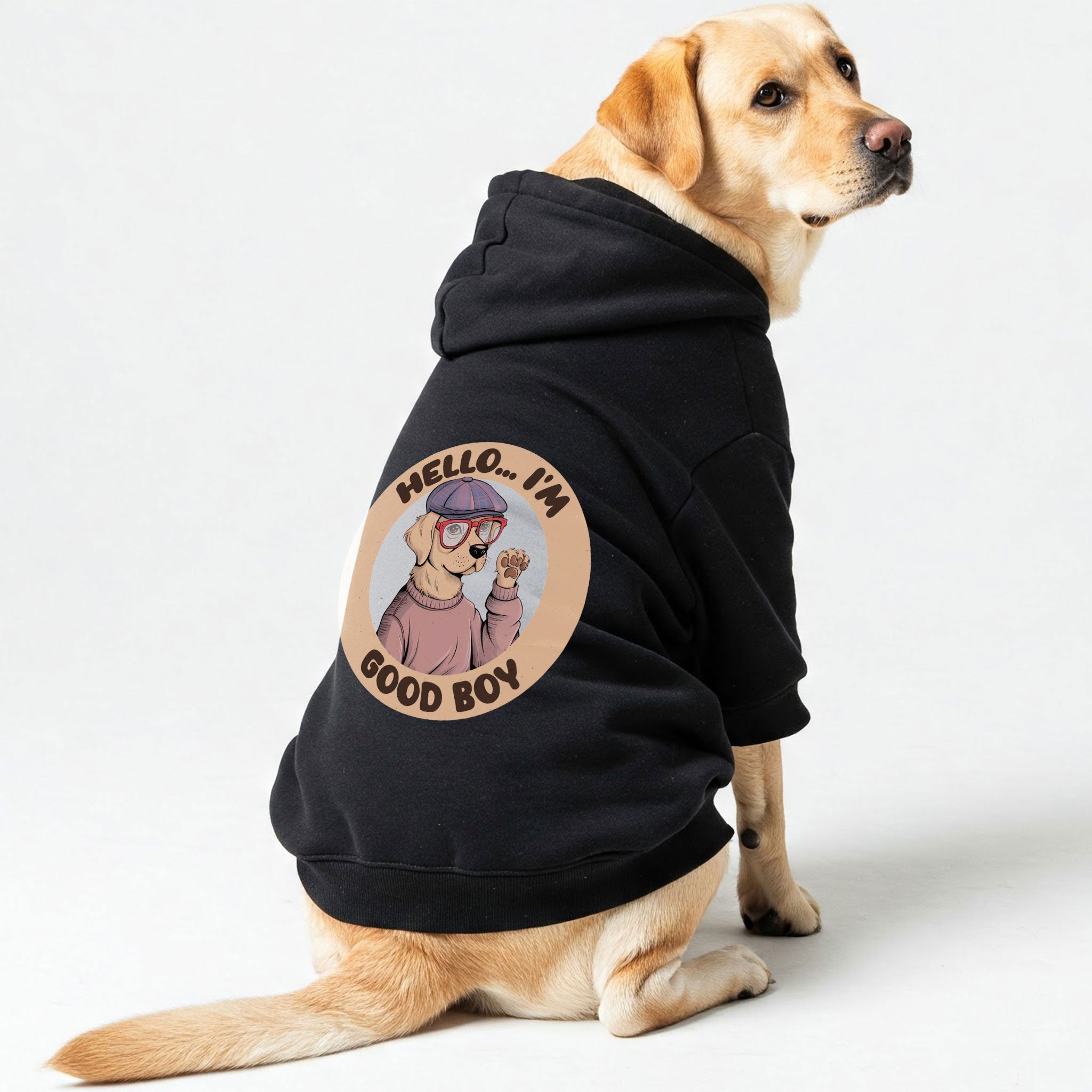 HELLO... IM GOOD BOY - Labrador Hoodie - Dog Clothes