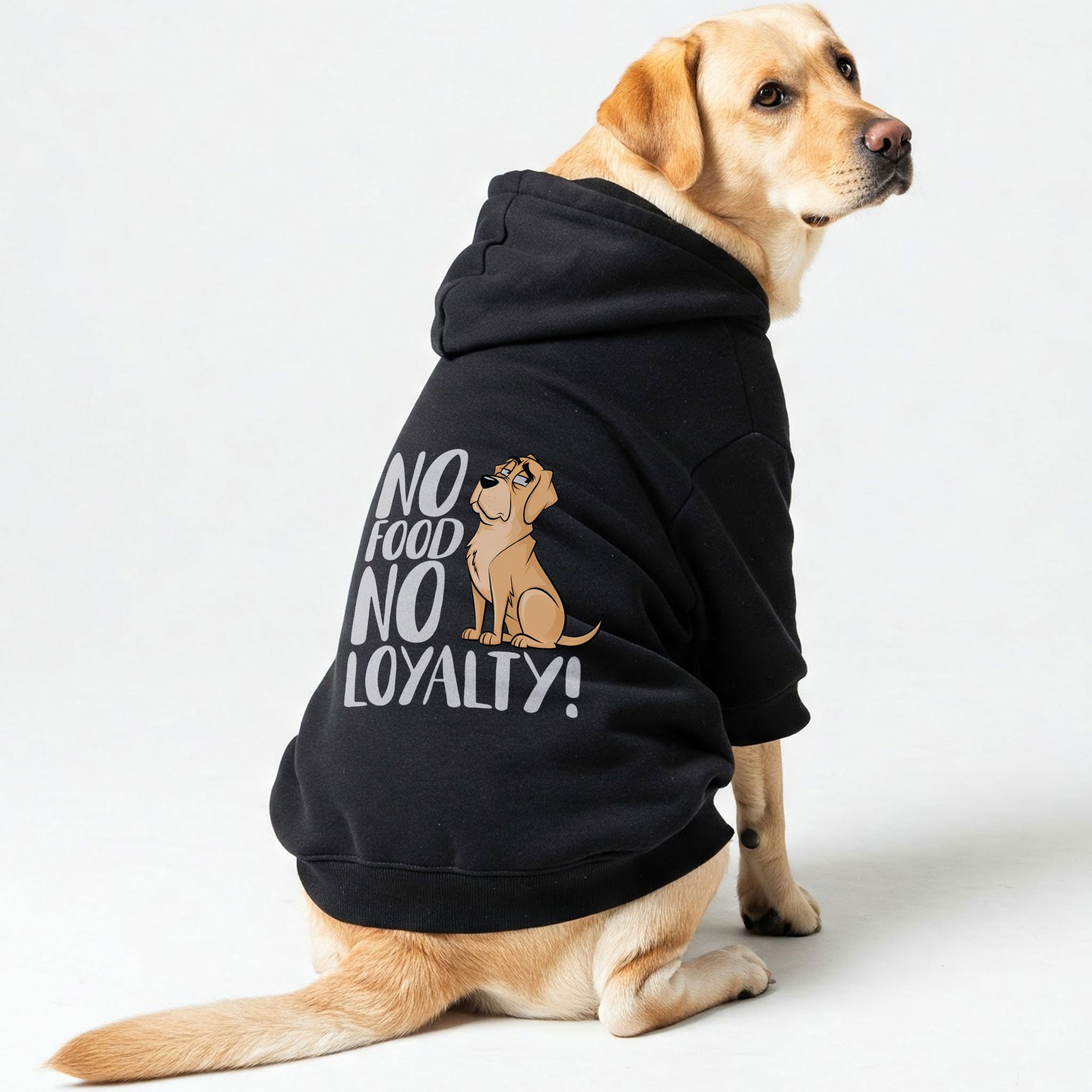 No food? No loyalty! - Labrador Hoodie - Dog Clothes