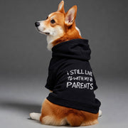 I still live  – Dog Hoodie – Dog Clothes