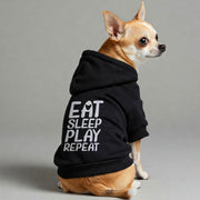 Chihuahua wearing an 'Eat, Sleep, Play, Repeat' hoodie