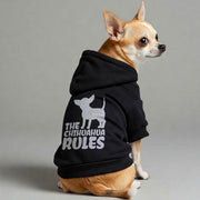 Chihuahua wearing 'The Chihuahua Rules' hoodie