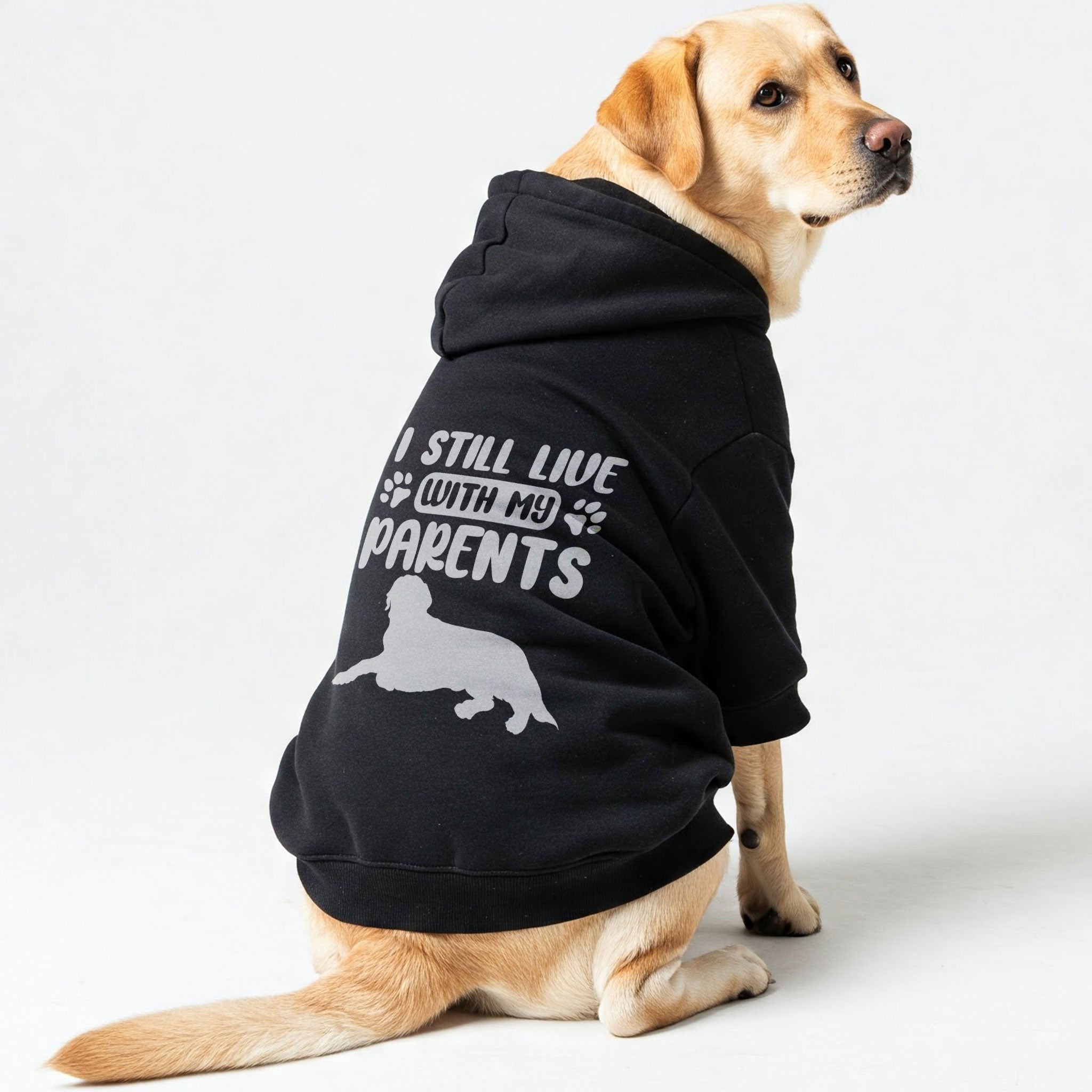 I STILL LIVE WITH MY PARENTS - Labrador Hoodie - Dog Clothes