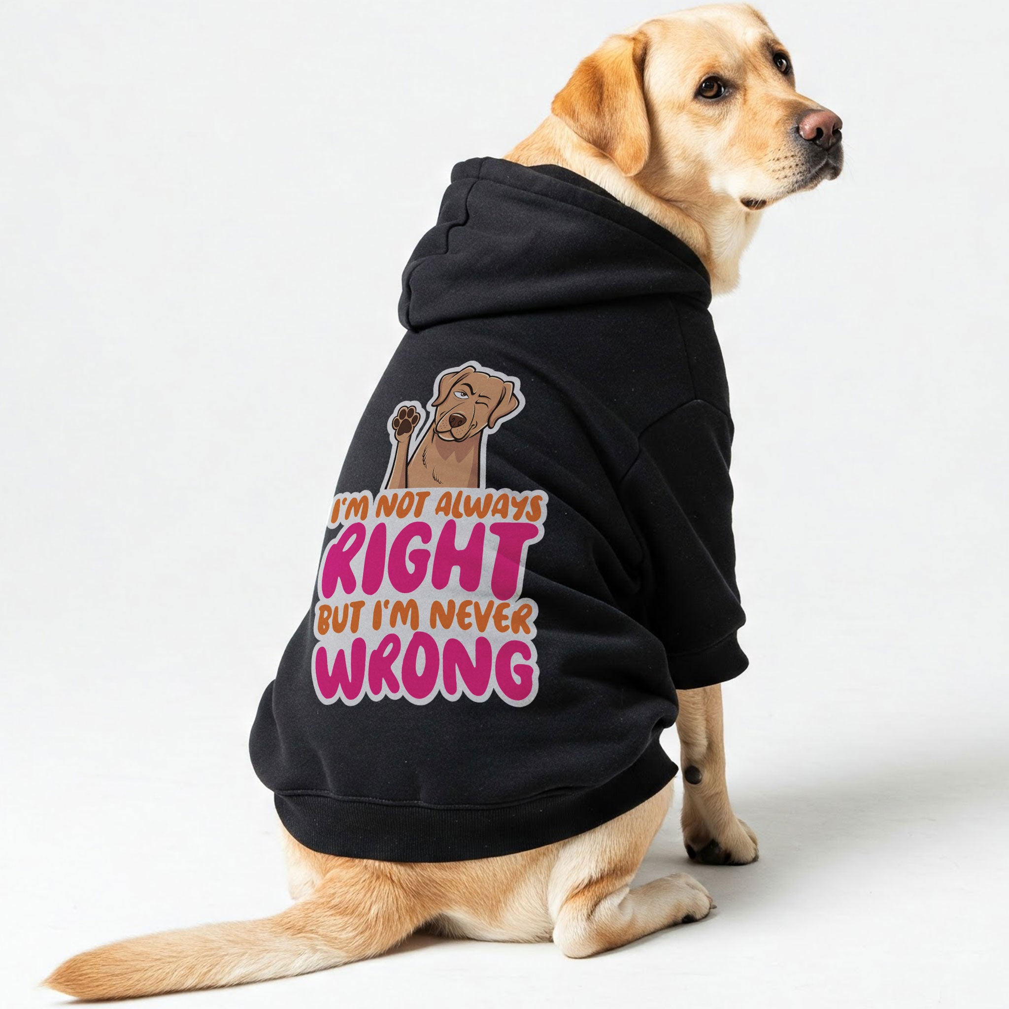 I'M NOT ALWAYS RIGHT BUT I'M NEVER WRONG - Labrador Hoodie - Dog Clothes