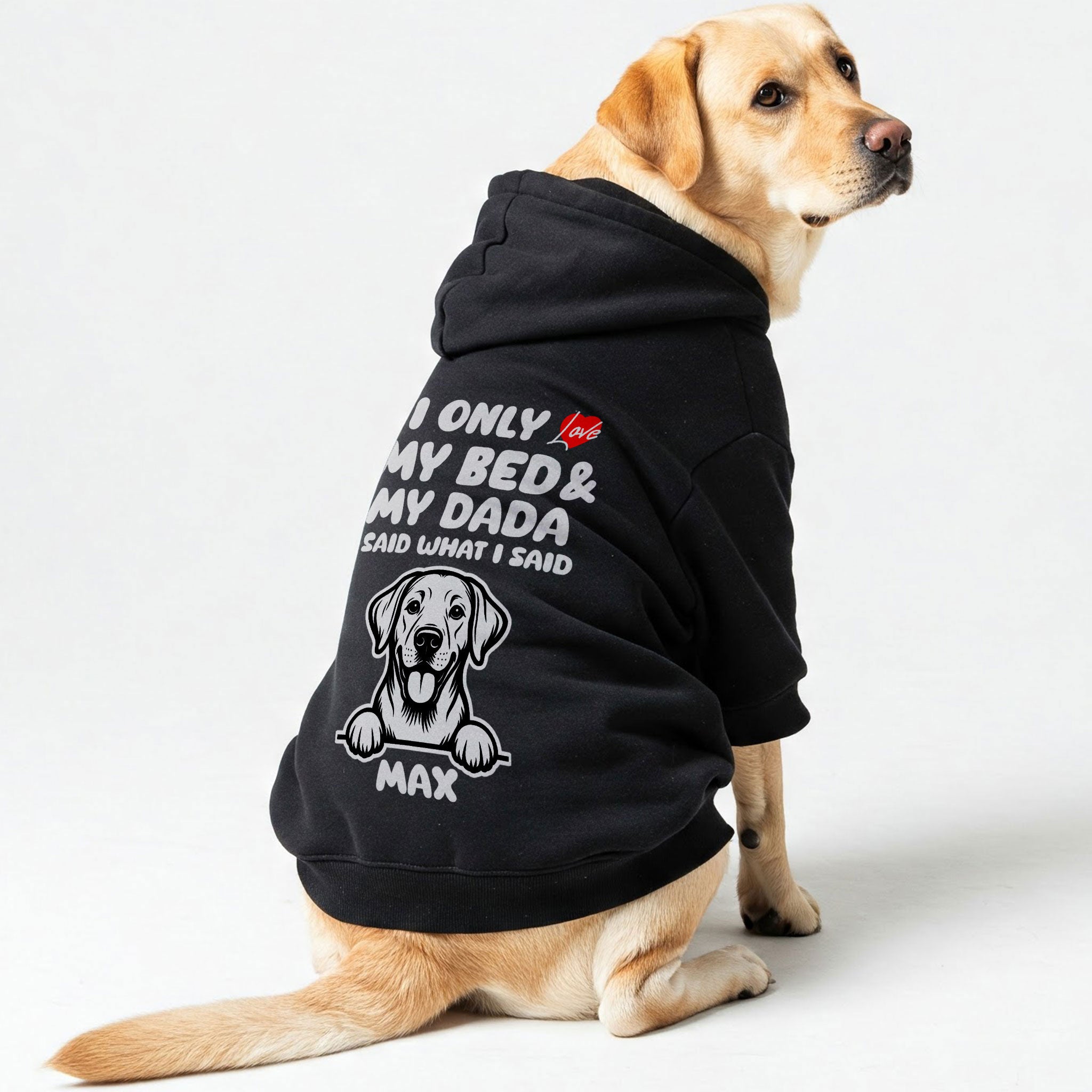 I ONLY LOVE - personalized hoodie with your dog’s name,breed and DADA or MAMA – dog hoodie – dog clothes