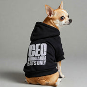 Chihuahua wearing a 'CEO: Chihuahua Eats Only' hoodie