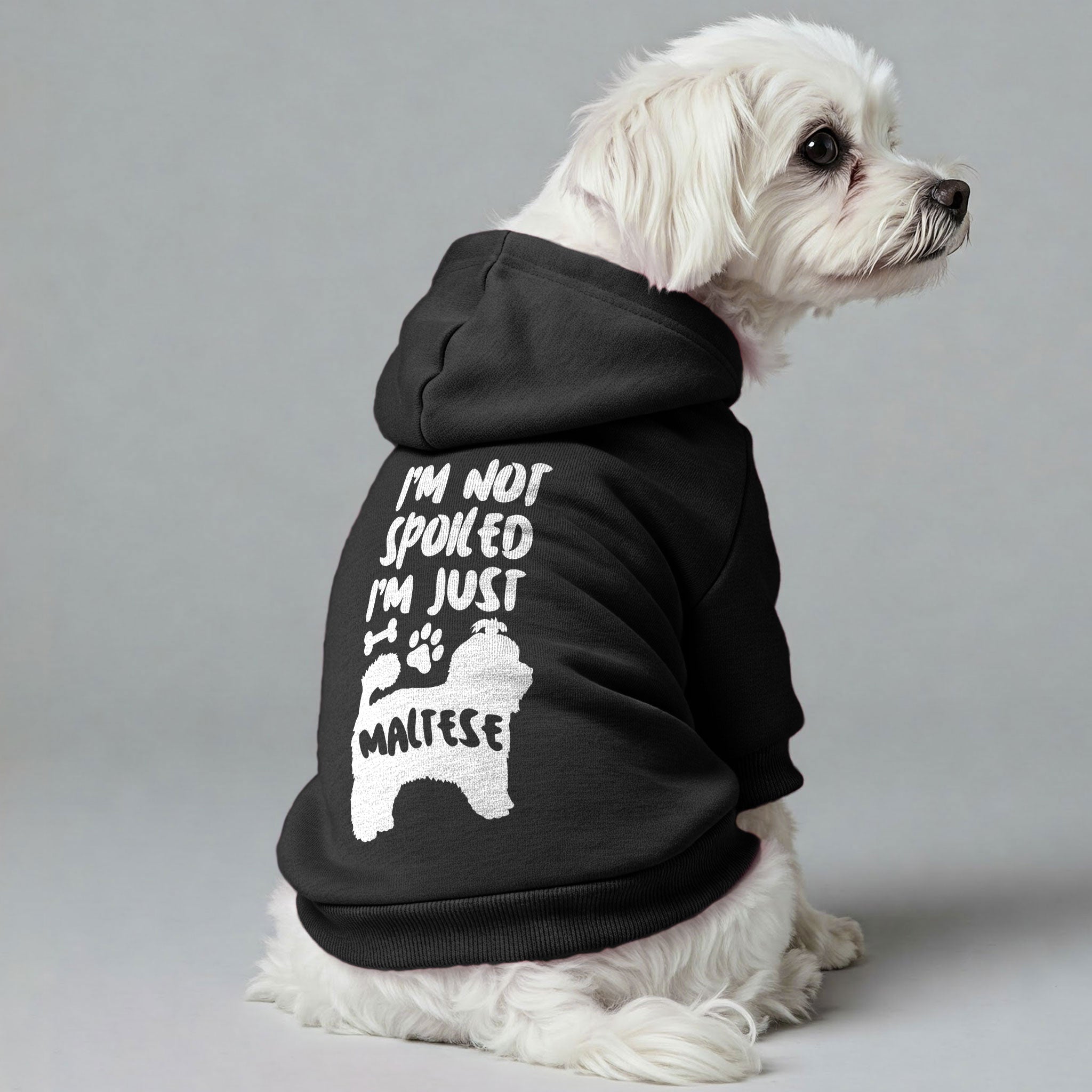 I’m Not Spoiled, I’m Just Maltese - Maltese Dog Hoodie