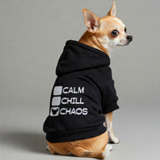 Chihuahua wearing a 'Calm, Chill, Chaos' hoodie