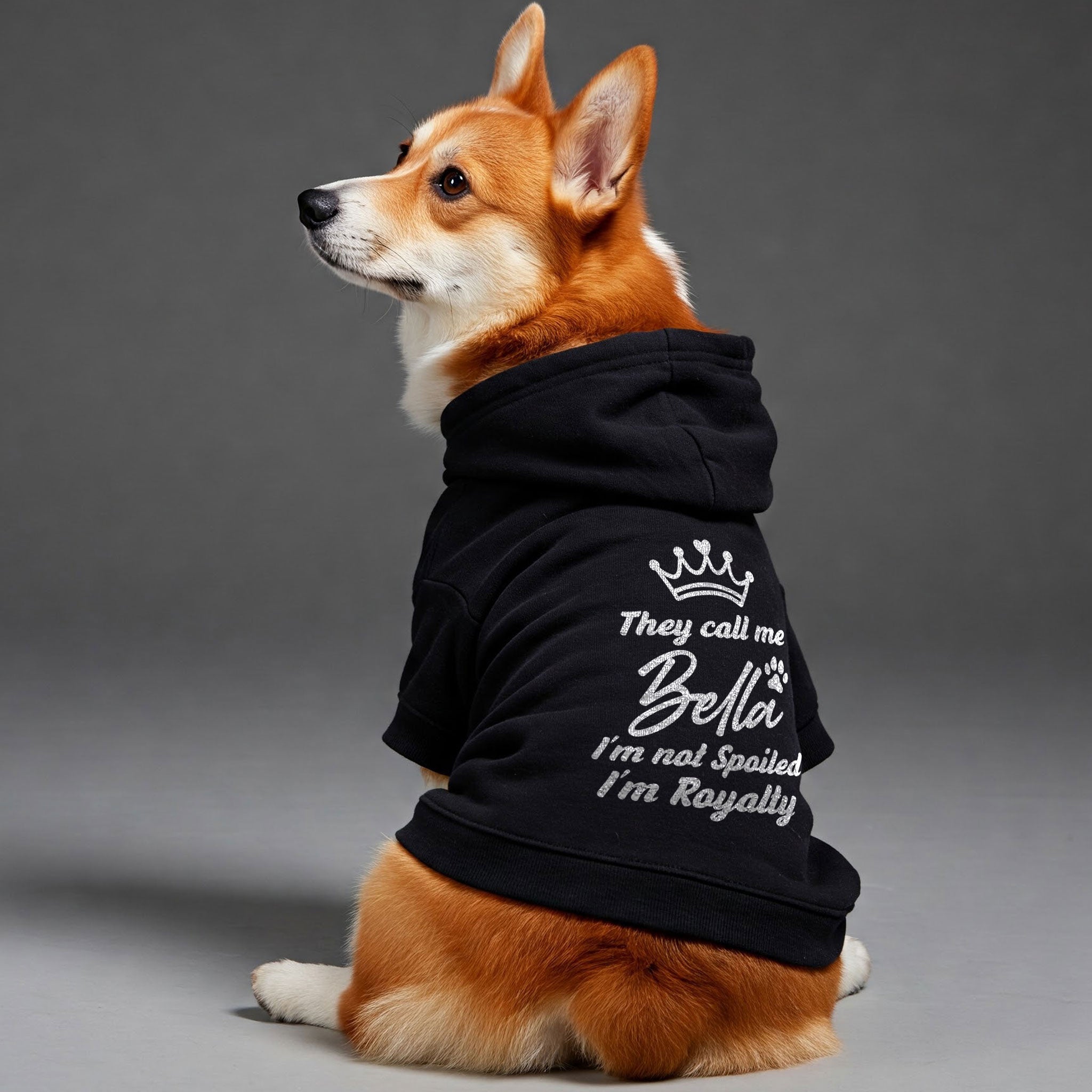 They call me Bella. Im not spoiled, Im royalty - personalized hoodie with your dog name – dog hoodie – dog clothes