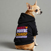 Chihuahua wearing a 'Kisses? Maybe. Chaos? Guaranteed' hoodie