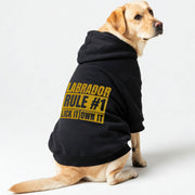 Labrador wearing a 'Lick It, Own It' hoodie