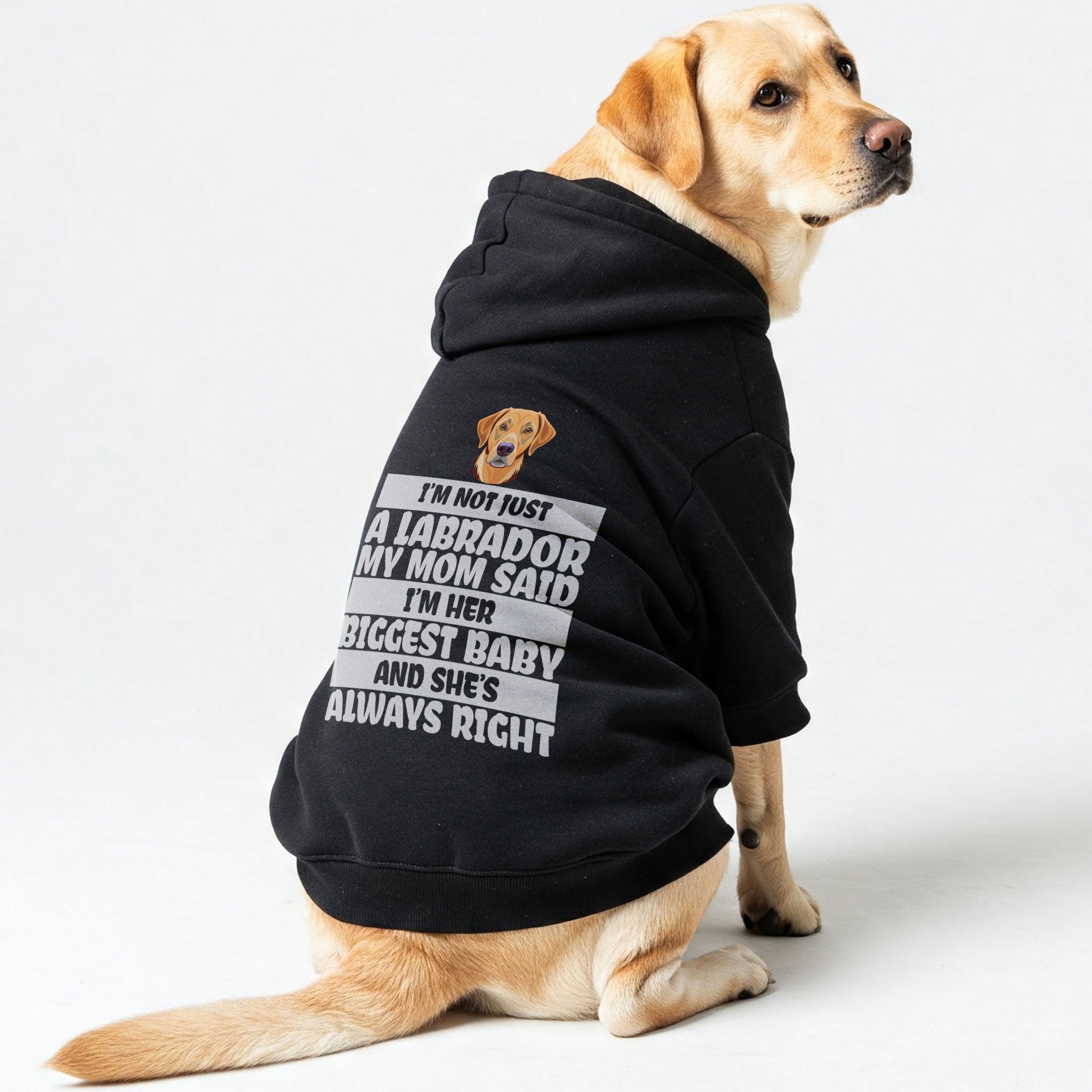 I’m not just a Labrador… My mom said I’m her biggest baby, and she’s always right - Labrador Hoodie - Dog Clothes