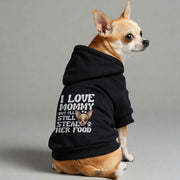 Chihuahua wearing an 'I'll Still Steal Her Food' hoodie