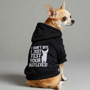 Chihuahua wearing an 'I Just Test Your Reflexes' hoodie