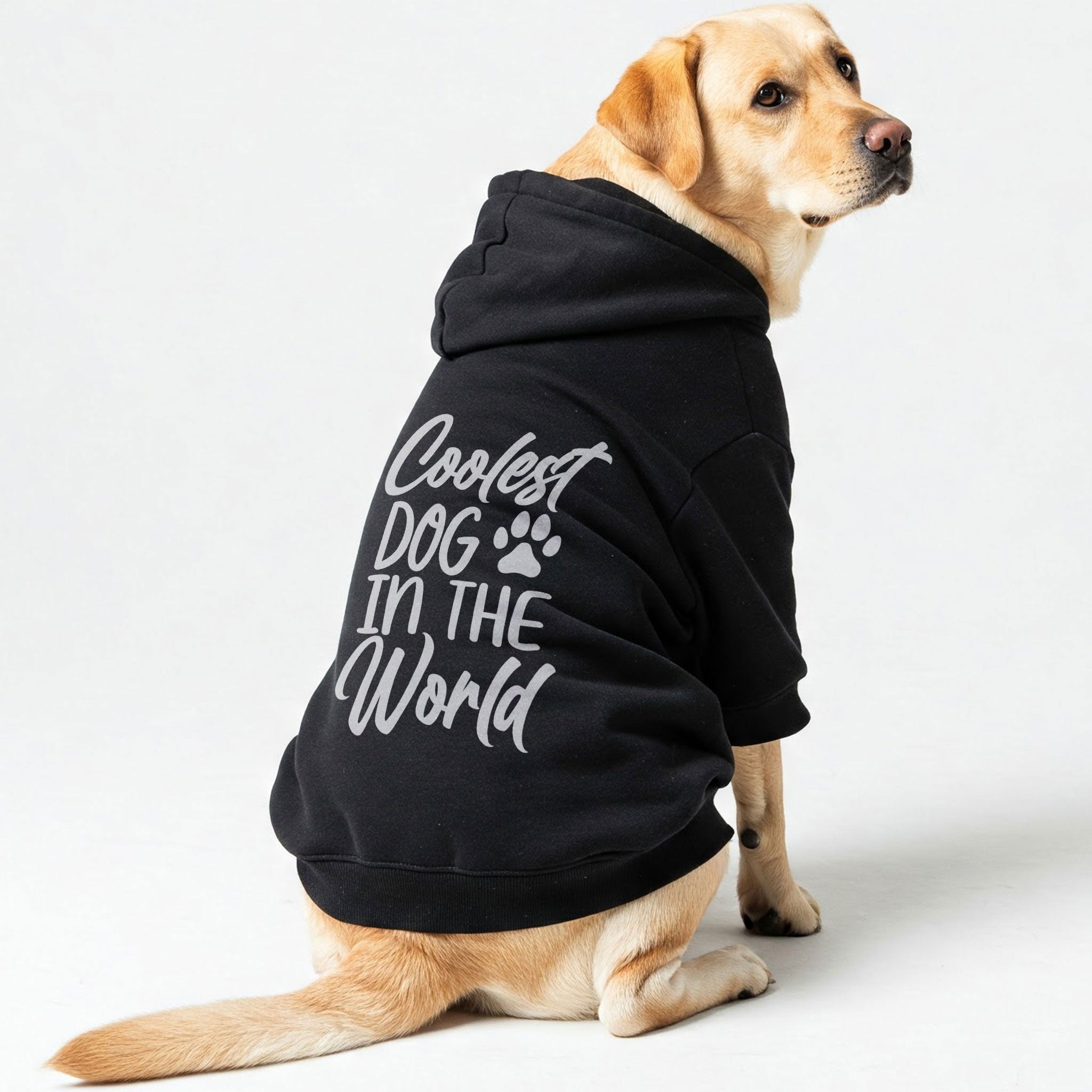 COOLEST DOG IN THE WORLD – Dog Hoodie – Dog Clothes