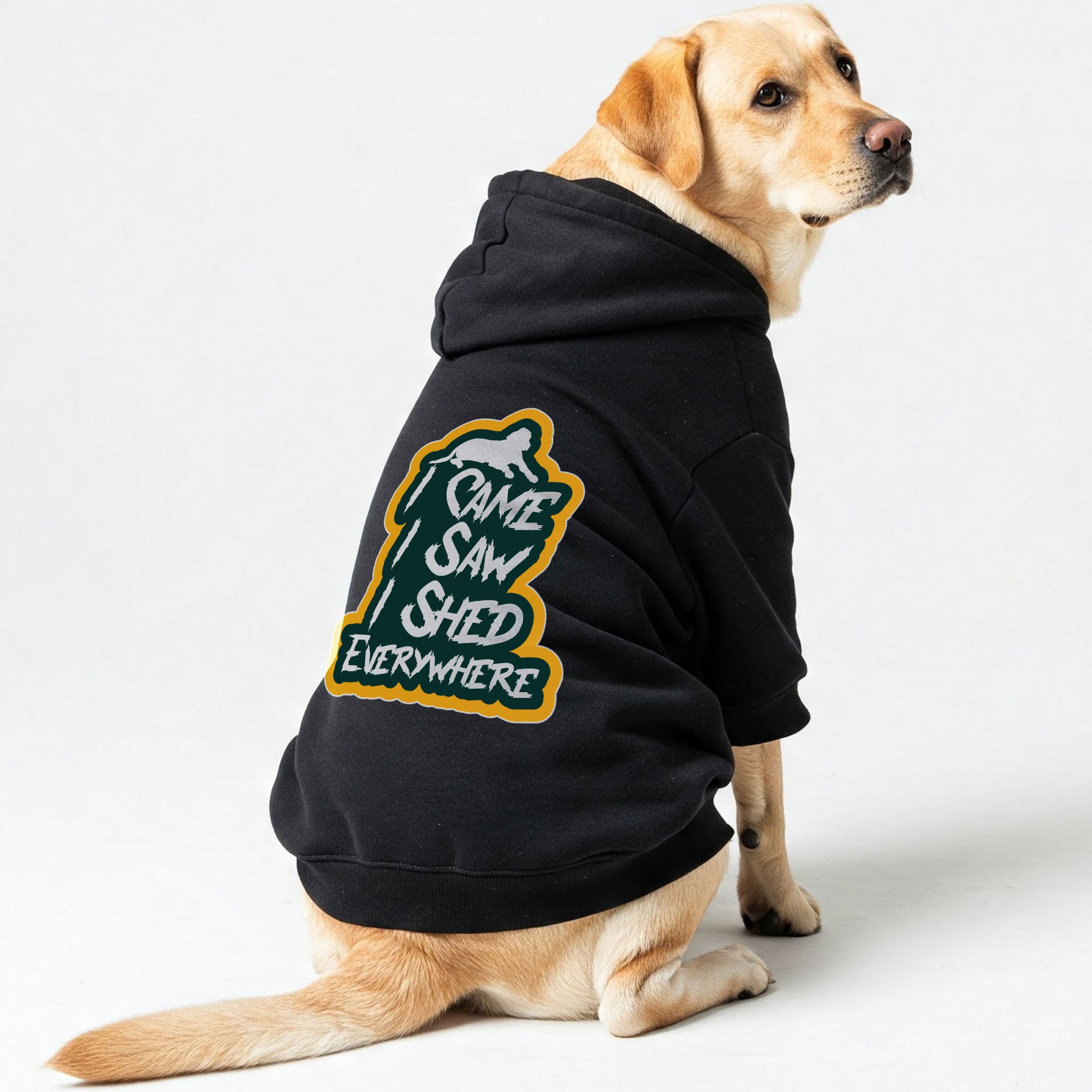I Came, I Saw, I Shed Everywhere - Labrador Hoodie - Dog Clothes