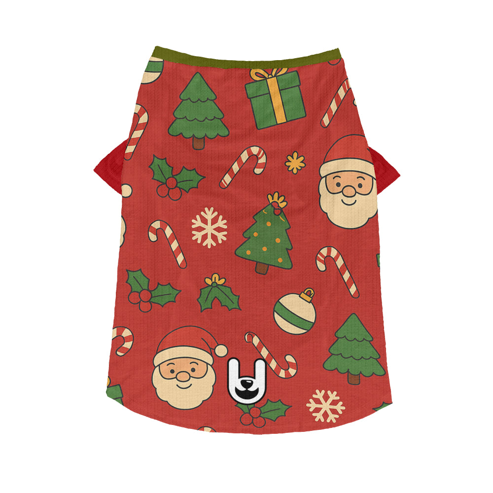 Ziggy- Dog Wool Sweater