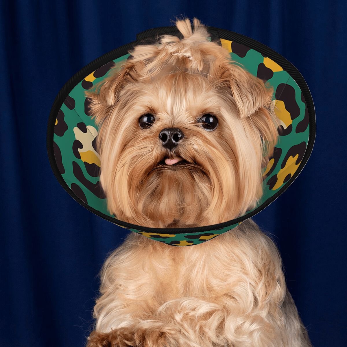 Coco - Soft Dog Cone & Elizabethan Collar