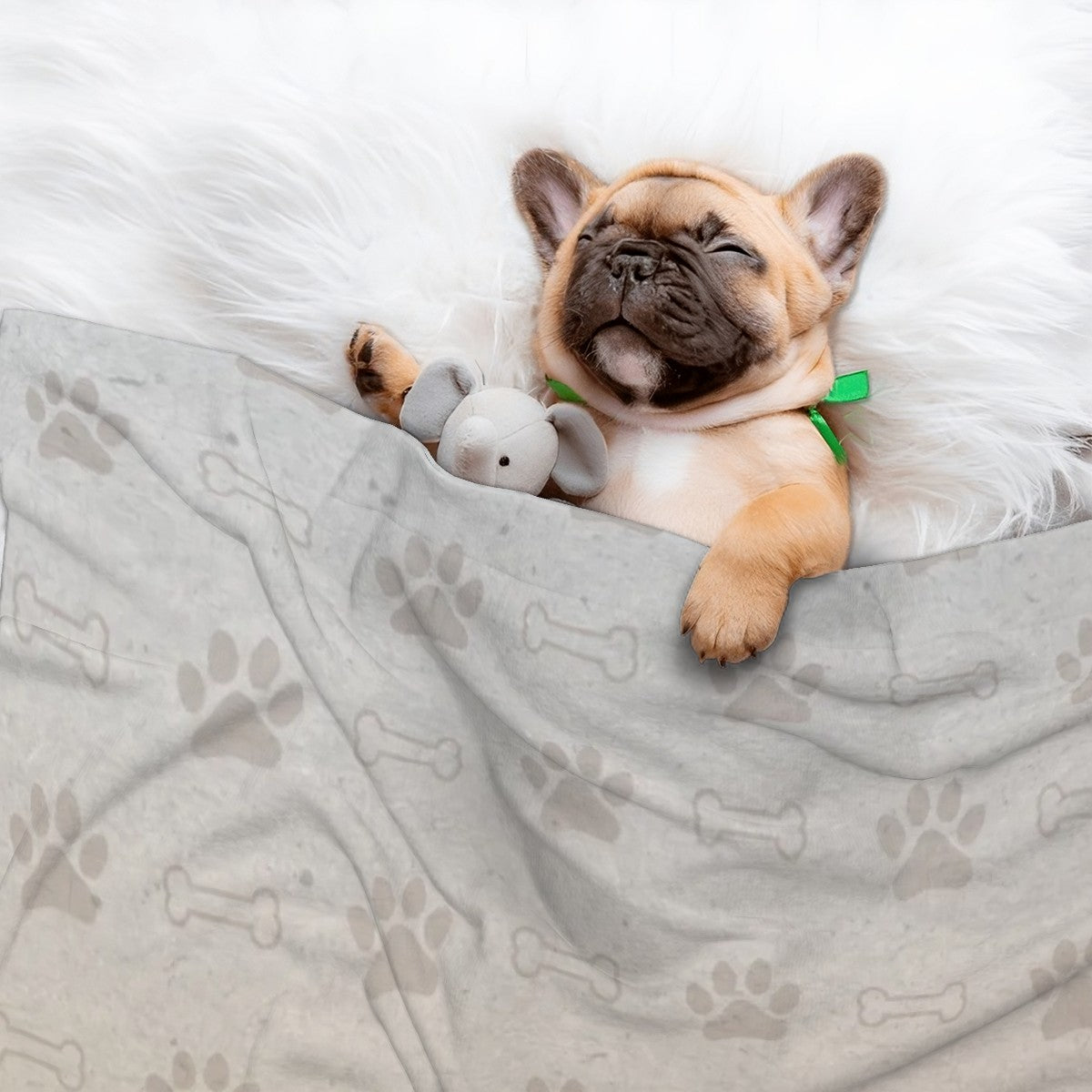 Dolly - Cozy Dog Blanket