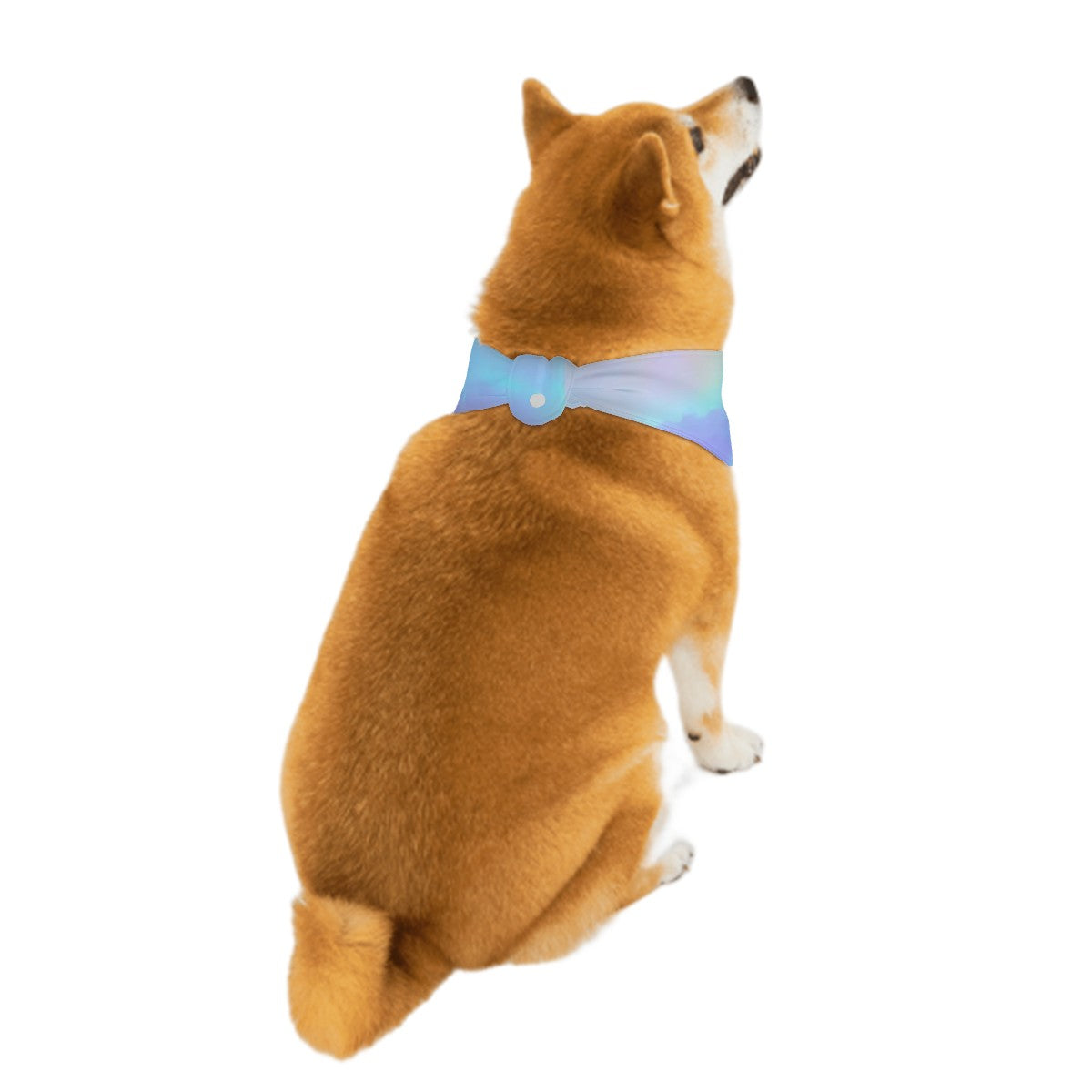 Honey- Stylish Dog Bandana