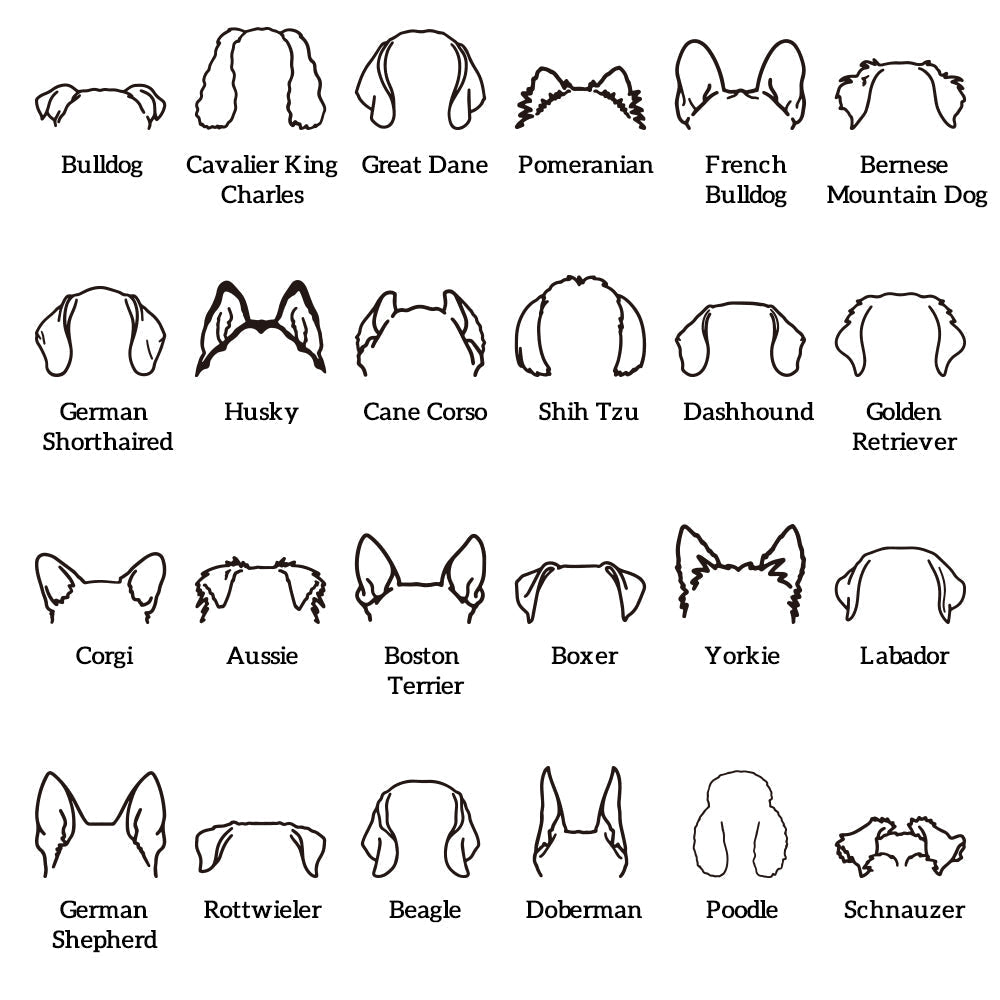 Personalized Dog Ears Sweatshirt – Custom Embroidered Hoodie Gift