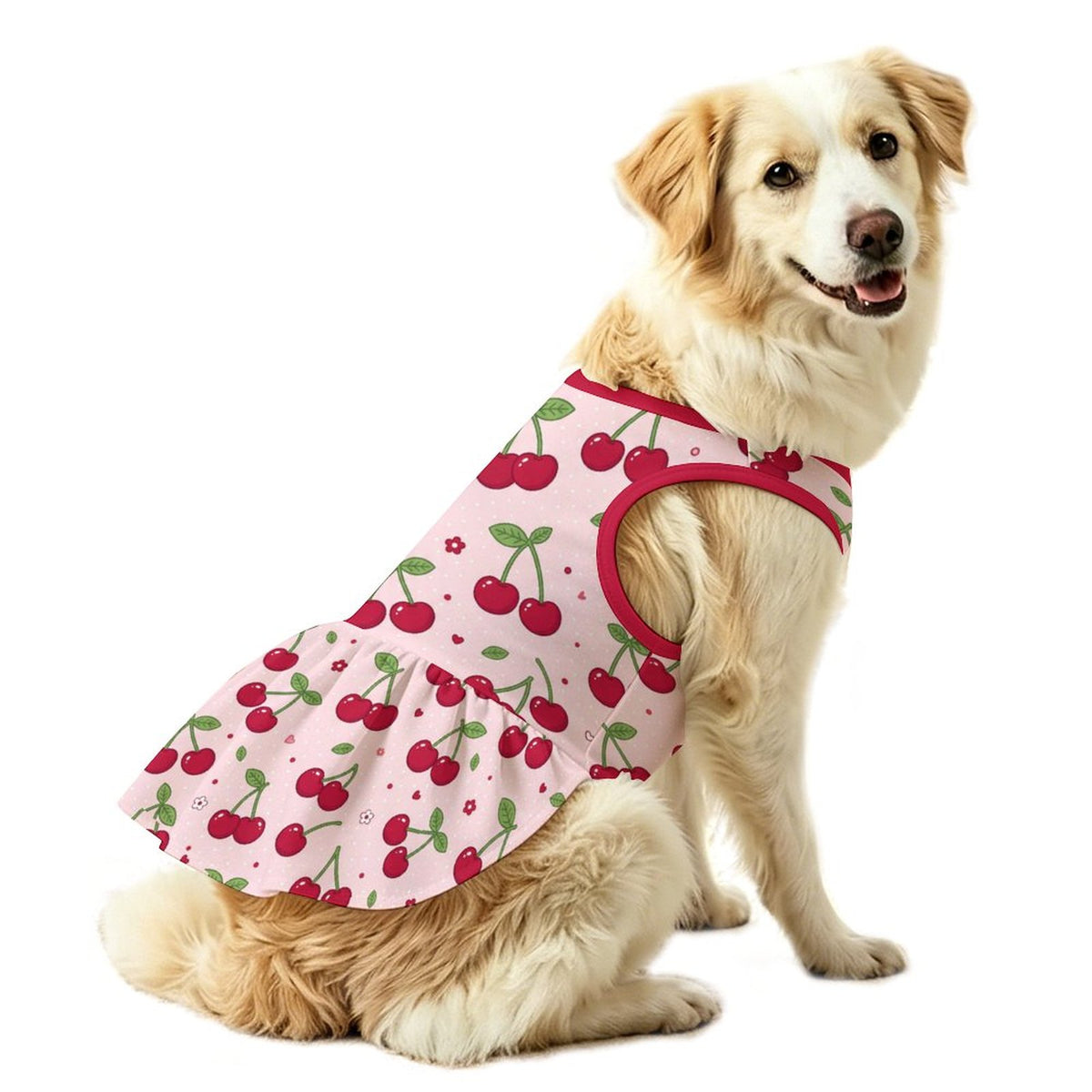 Sweet Cherry Large Dog Ruffle Dog Dress