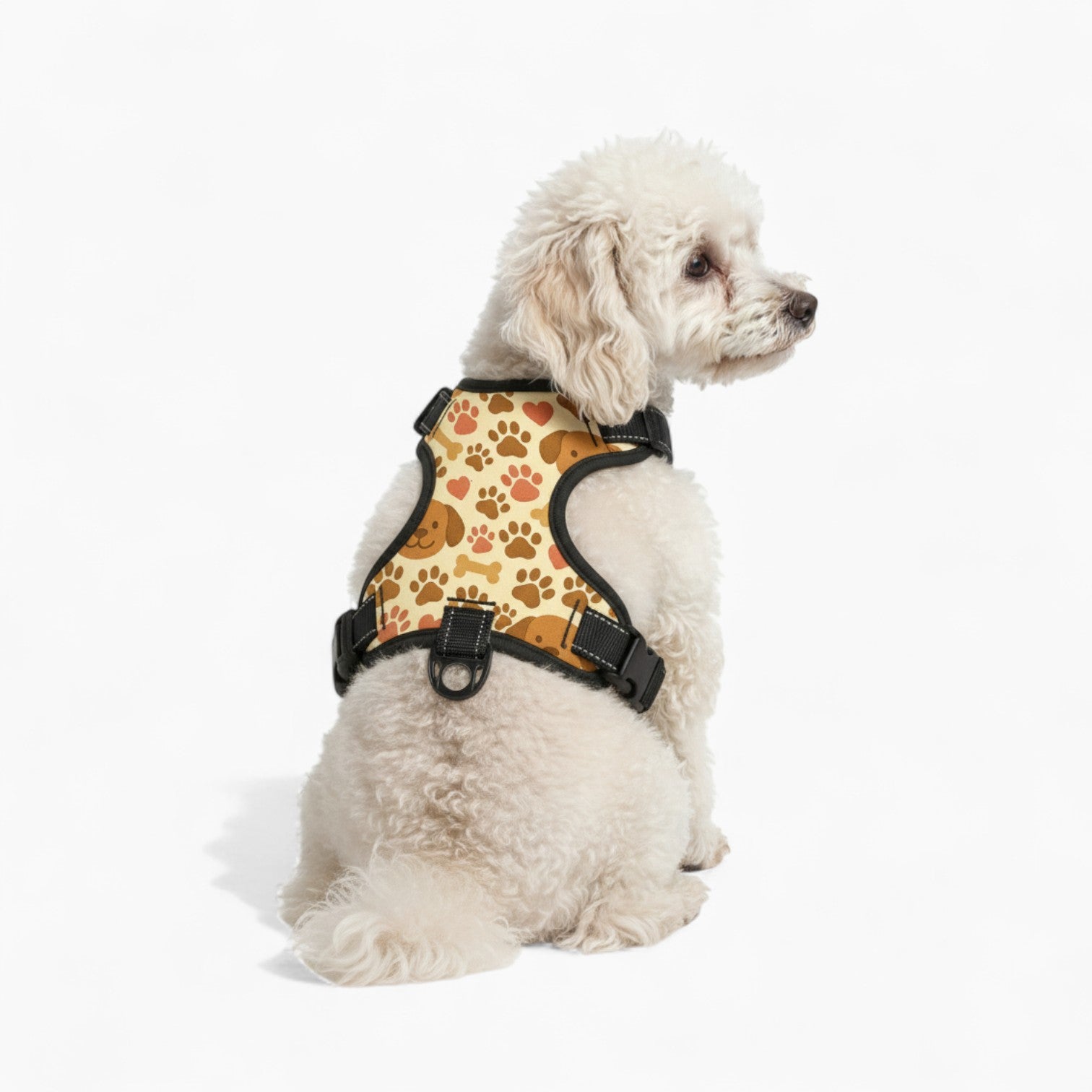 cloy' no pull dog harness and leash