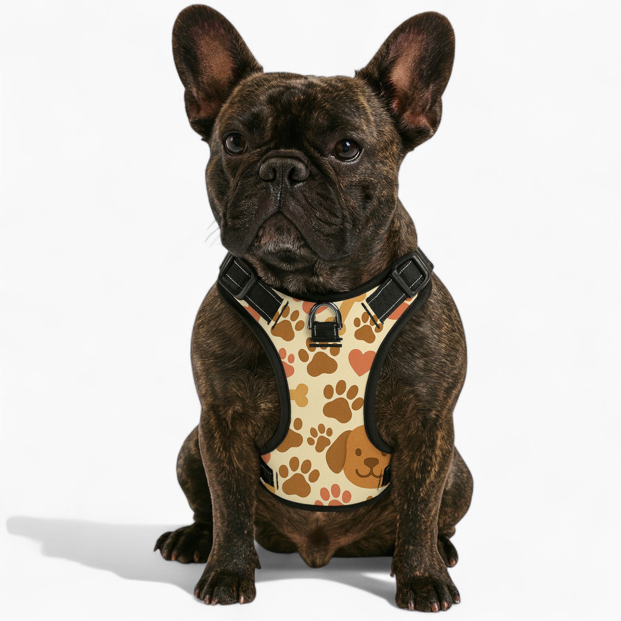 cloy' no pull dog harness and leash set