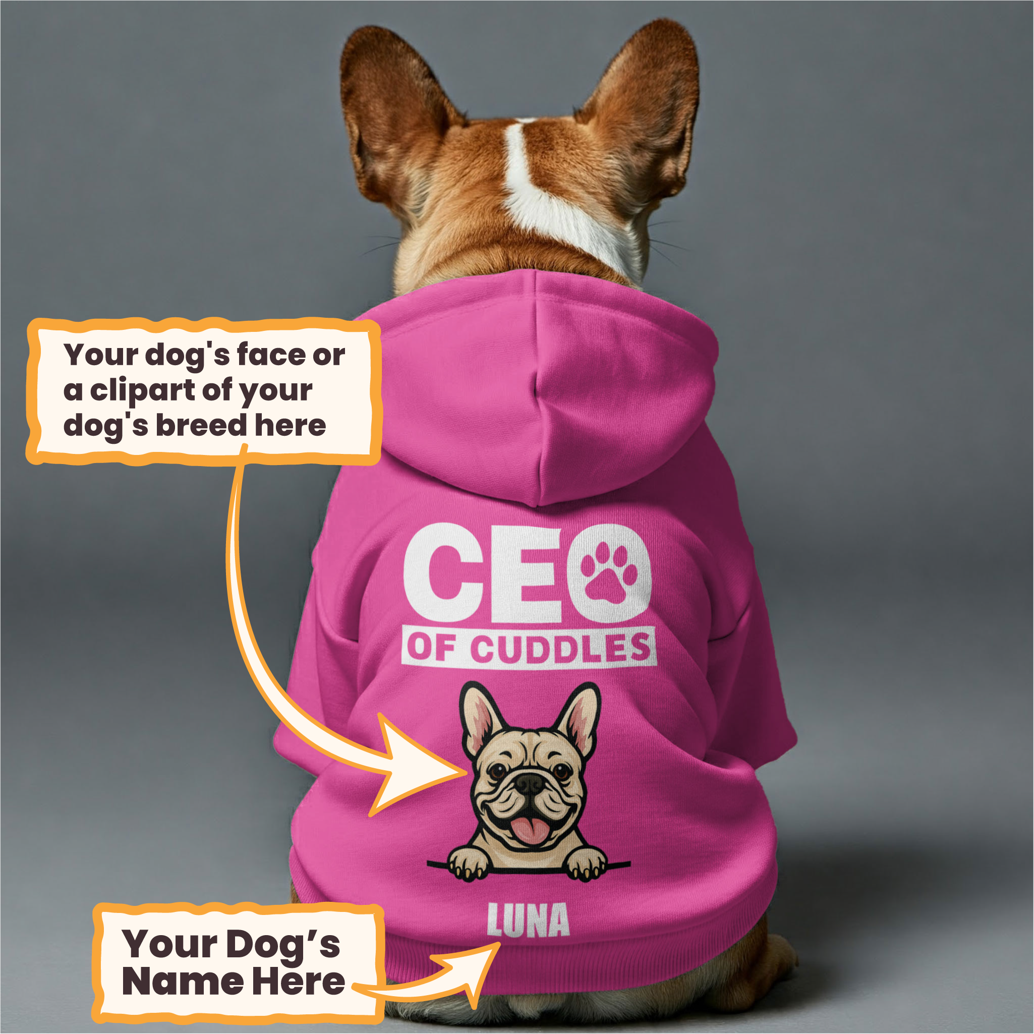 CEO of Cuddles - Personalized hoodie with your dog's name and face or a clipart of its breed– dog hoodie – dog clothes