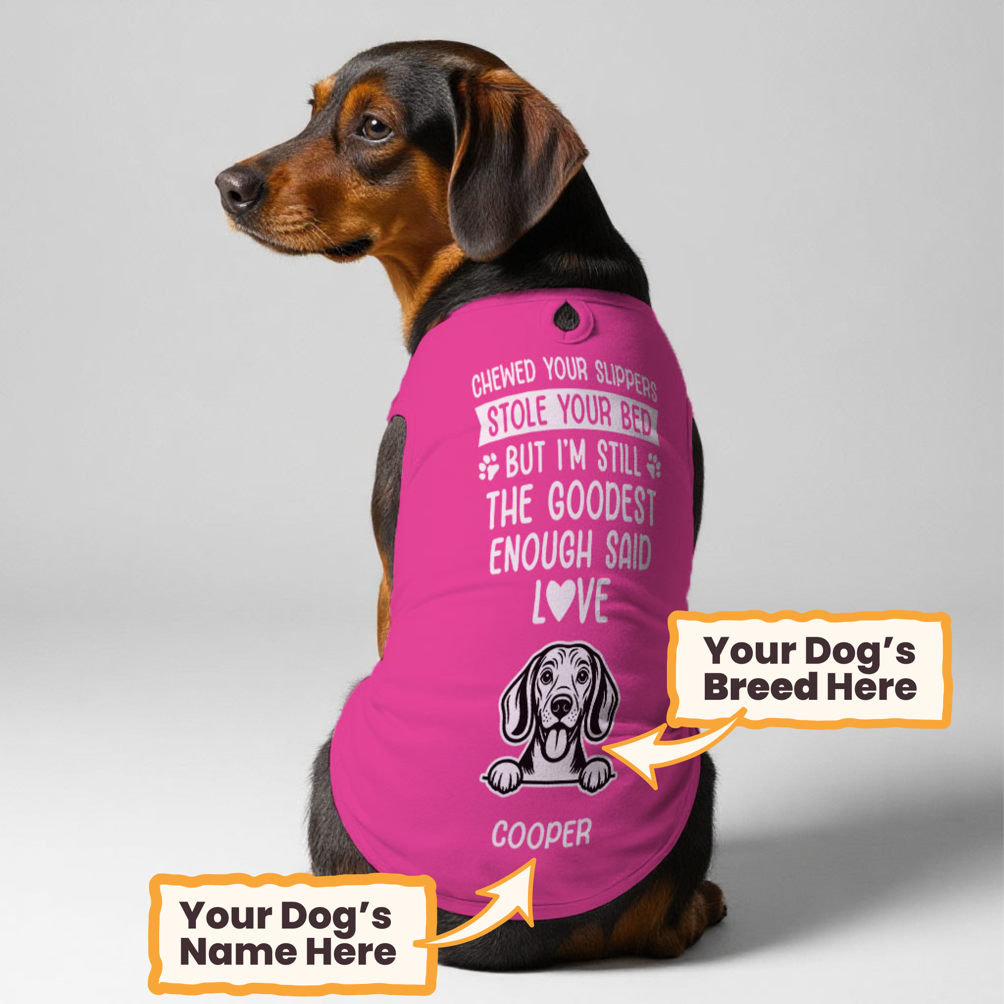 Chewed your slippers – Personalized Shirt with Your Dog’s Name and Breed – Dog Shirt
