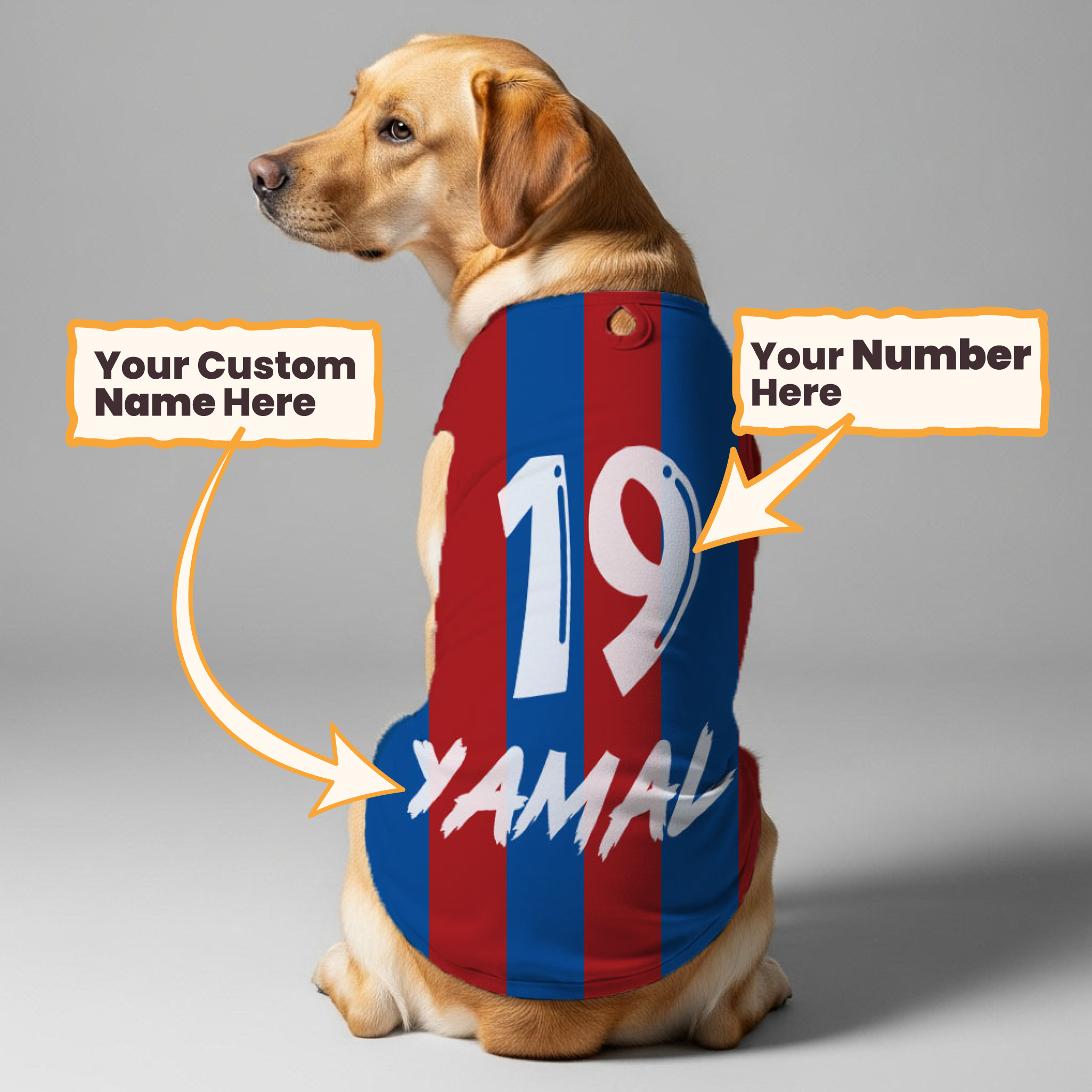 FOOTBLALL PLAYER – Personalized Dog Shirt featuring Name & Number