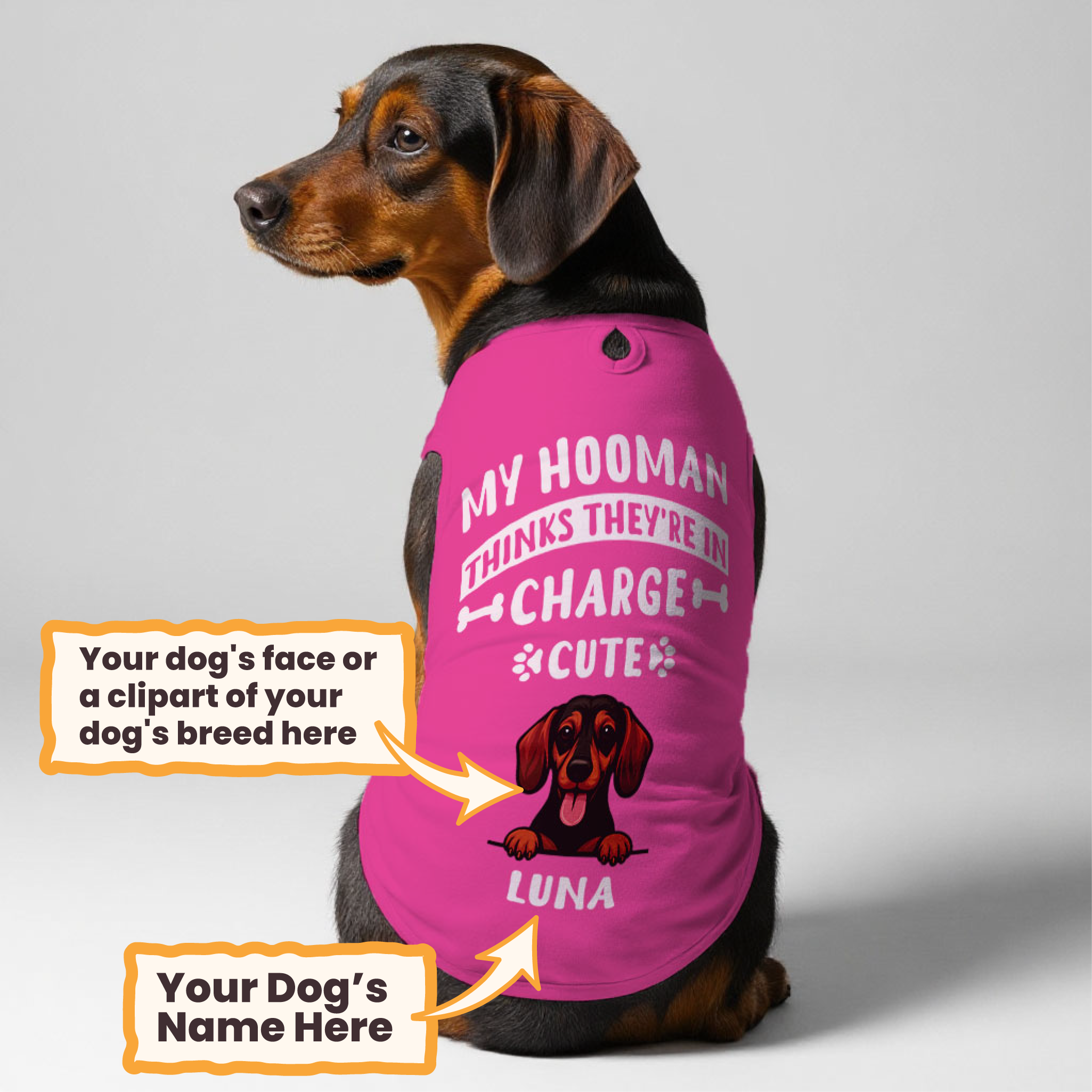 My Hooman – Personalized Shirt with Your Dog’s Photo or Breed Clipart – Dog Shirt