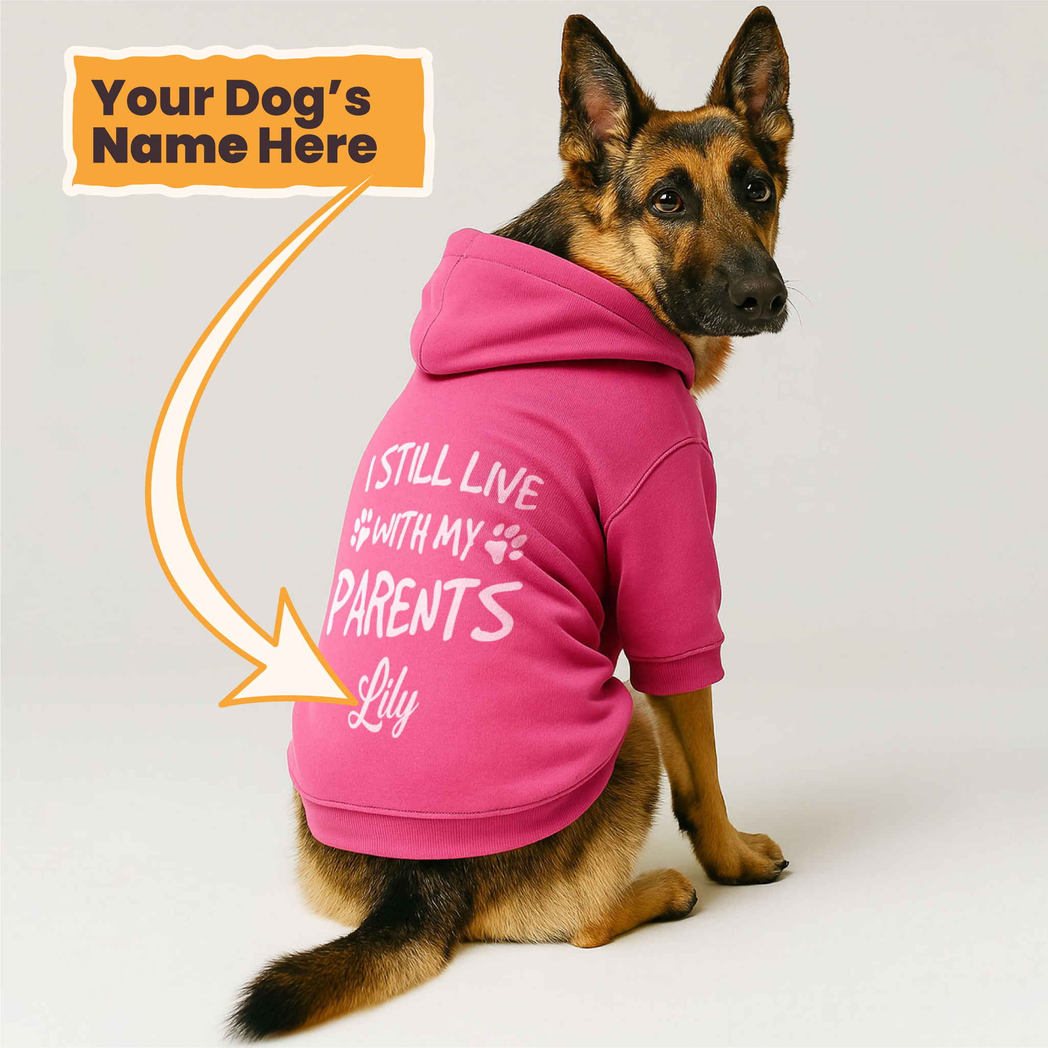 I Still Live - personalized hoodie with your dog name – dog hoodie – dog clothes