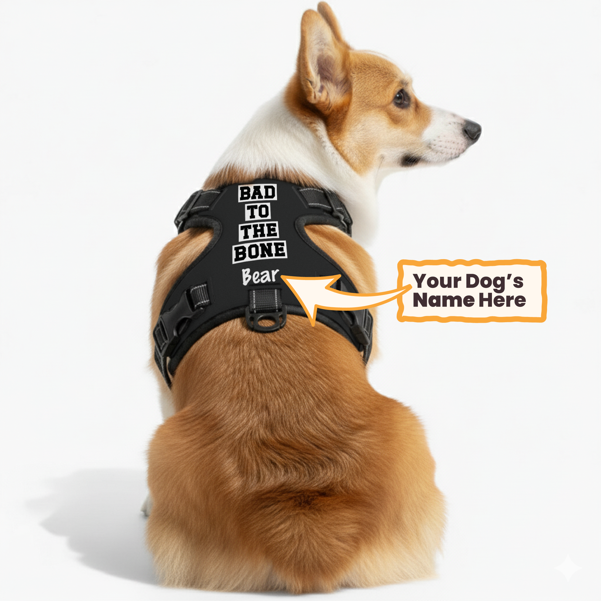 Prada - Custom Dog harness