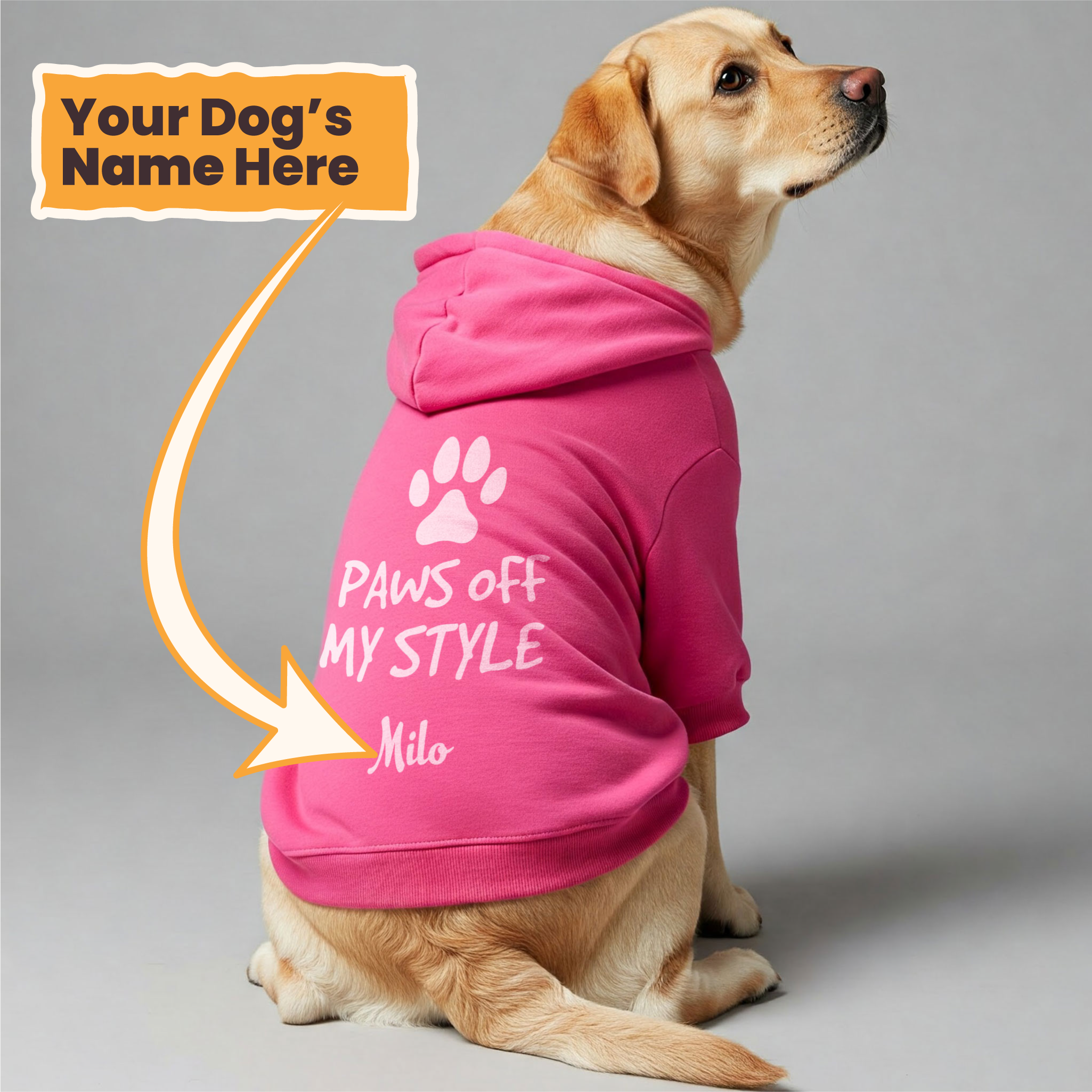 PAWS OFF MY STYLE - personalized hoodie with your dog name – dog hoodie – dog clothes