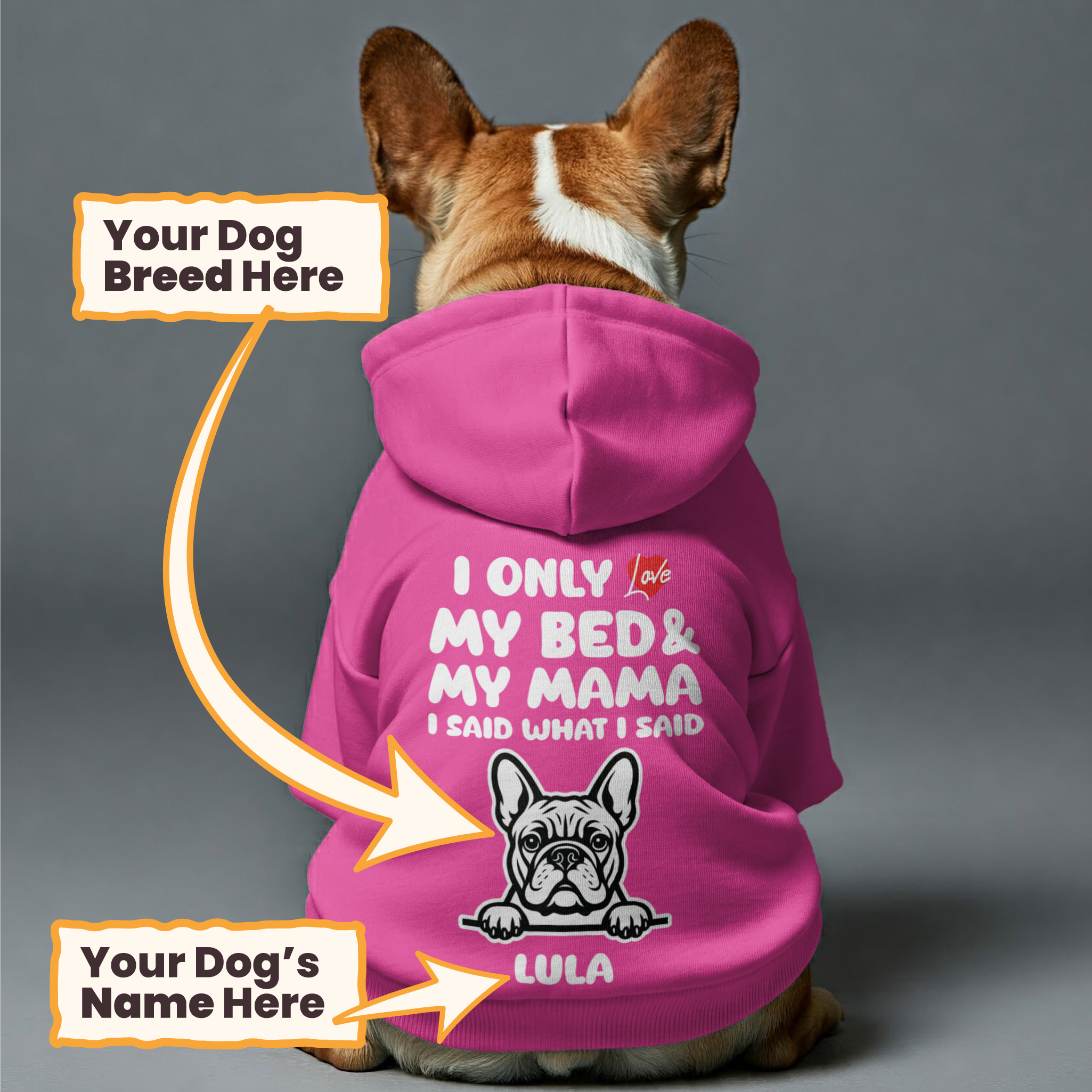 I ONLY LOVE - personalized hoodie with your dog’s name,breed and DADA or MAMA – dog hoodie – dog clothes