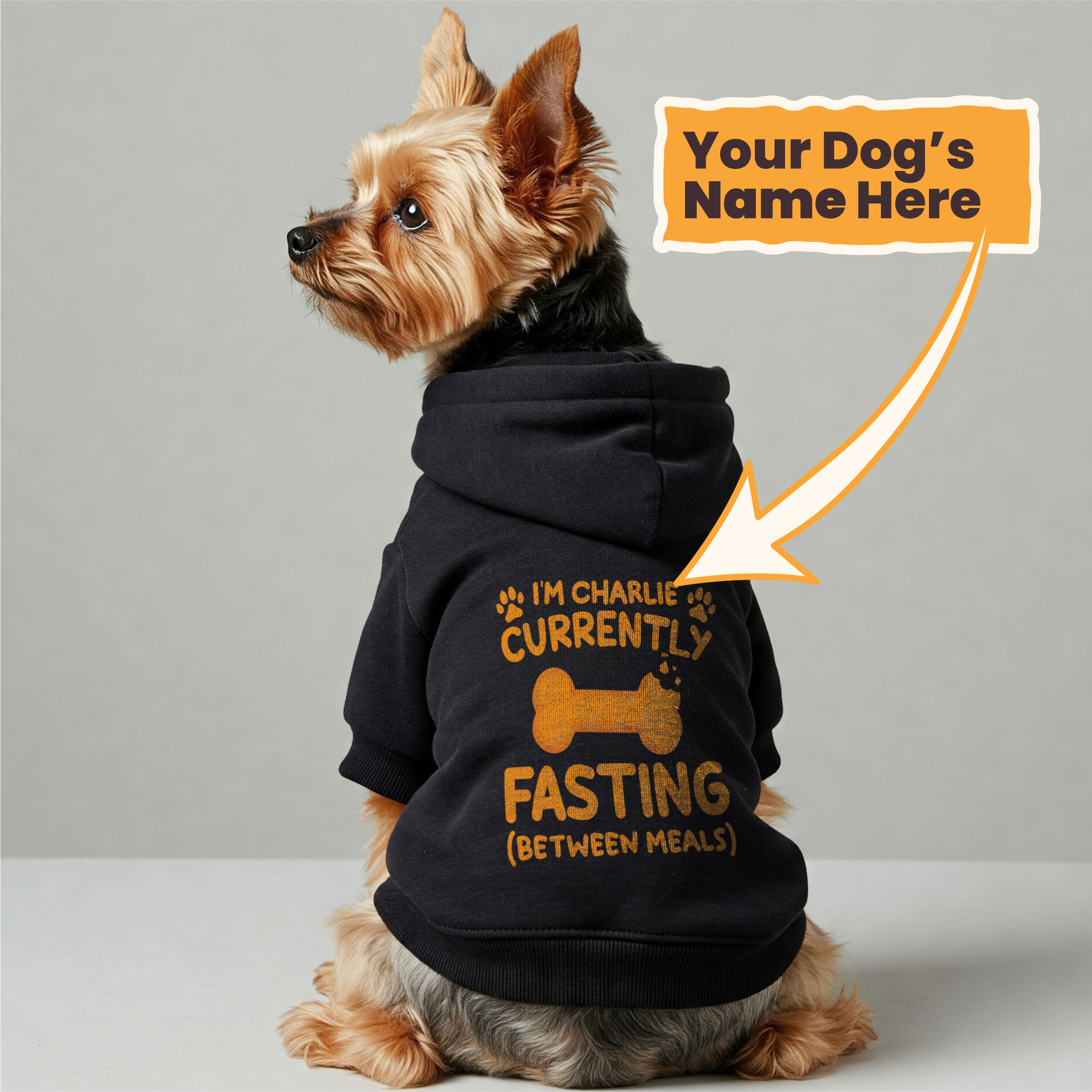 Im Charlie - currently fasting (between meals) - personalized hoodie with your dog name – dog hoodie – dog clothes