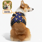 Dog wearing a personalized custom-name harness