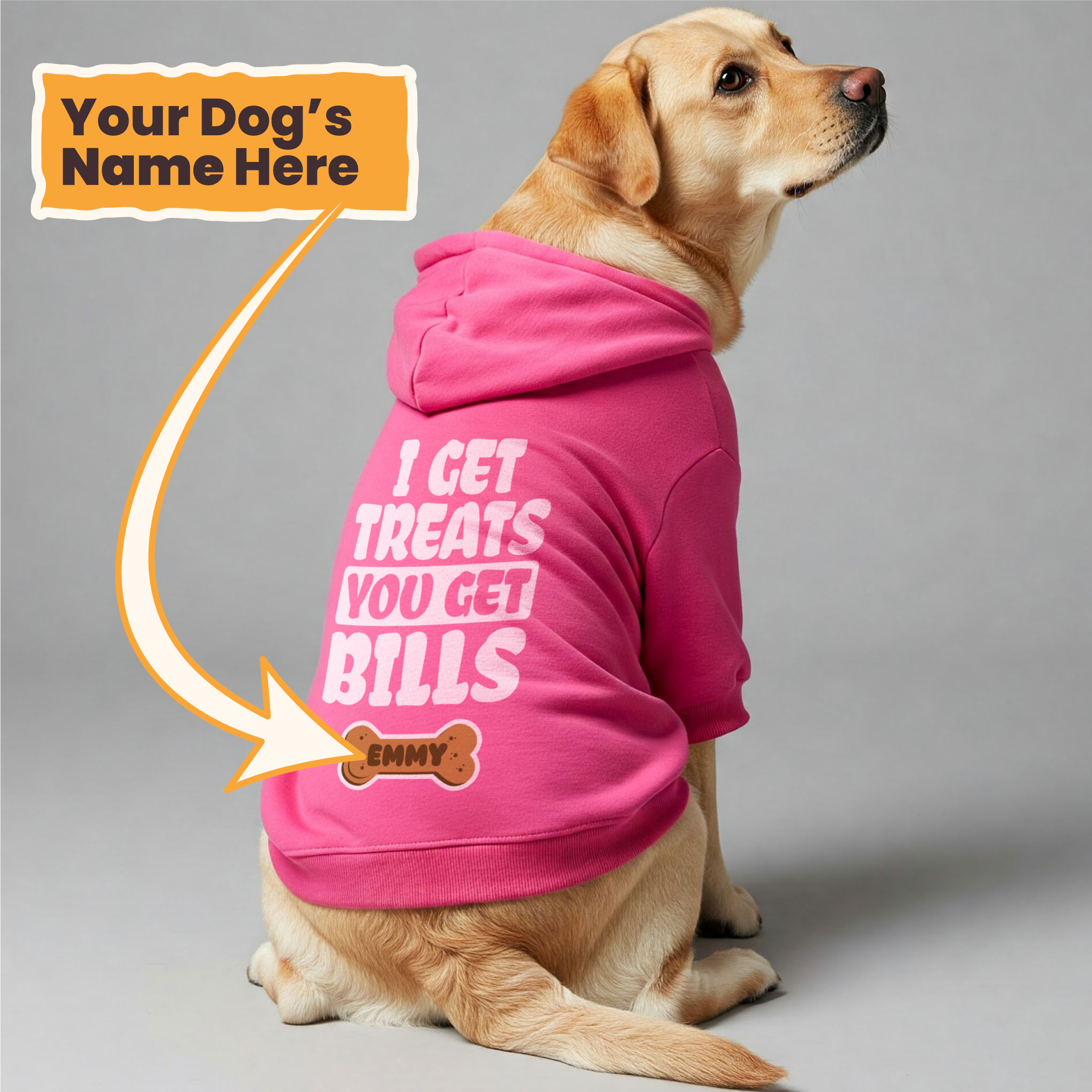 I Get Treats, You Get Bills - personalized hoodie with your dog name – dog hoodie – dog clothes