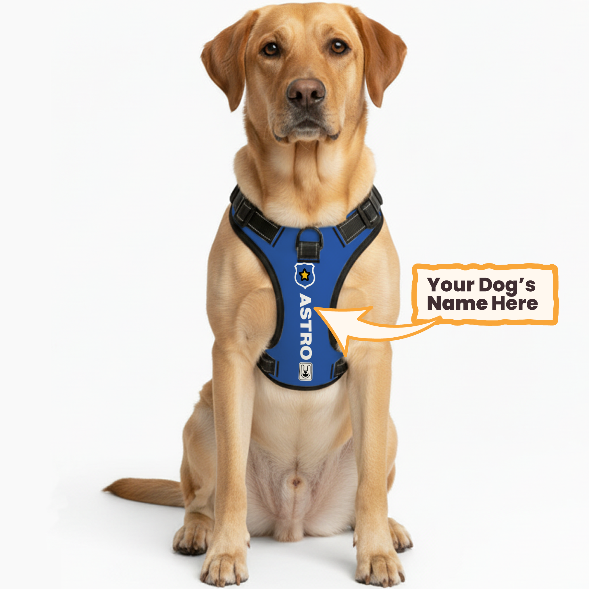 Mango - Custom Dog harness