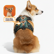 Dog wearing a personalized custom-name harness