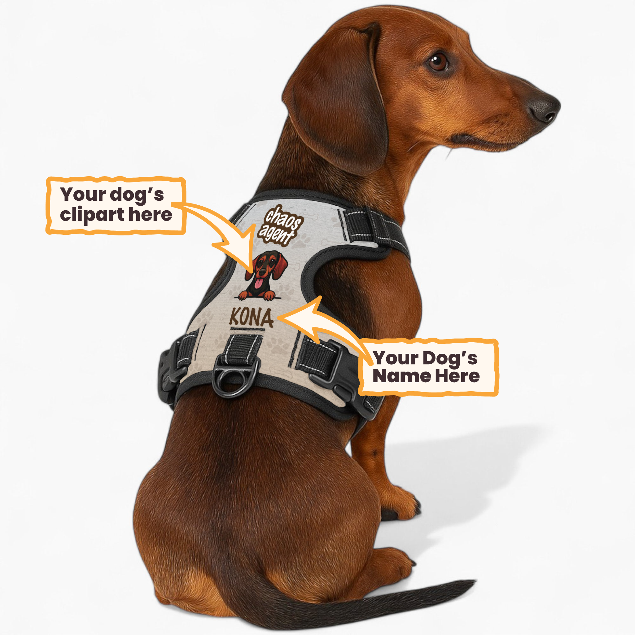 Kong - Custom Dog harness