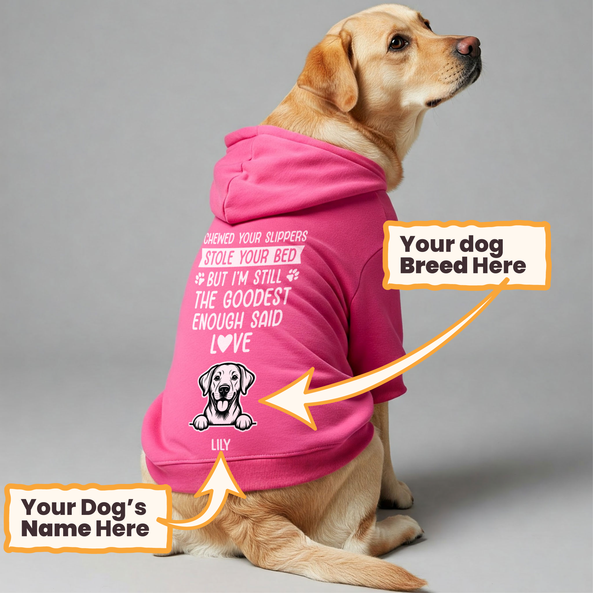 Chewed your slippers - personalized hoodie with your dog’s name and breed – dog hoodie – dog clothes