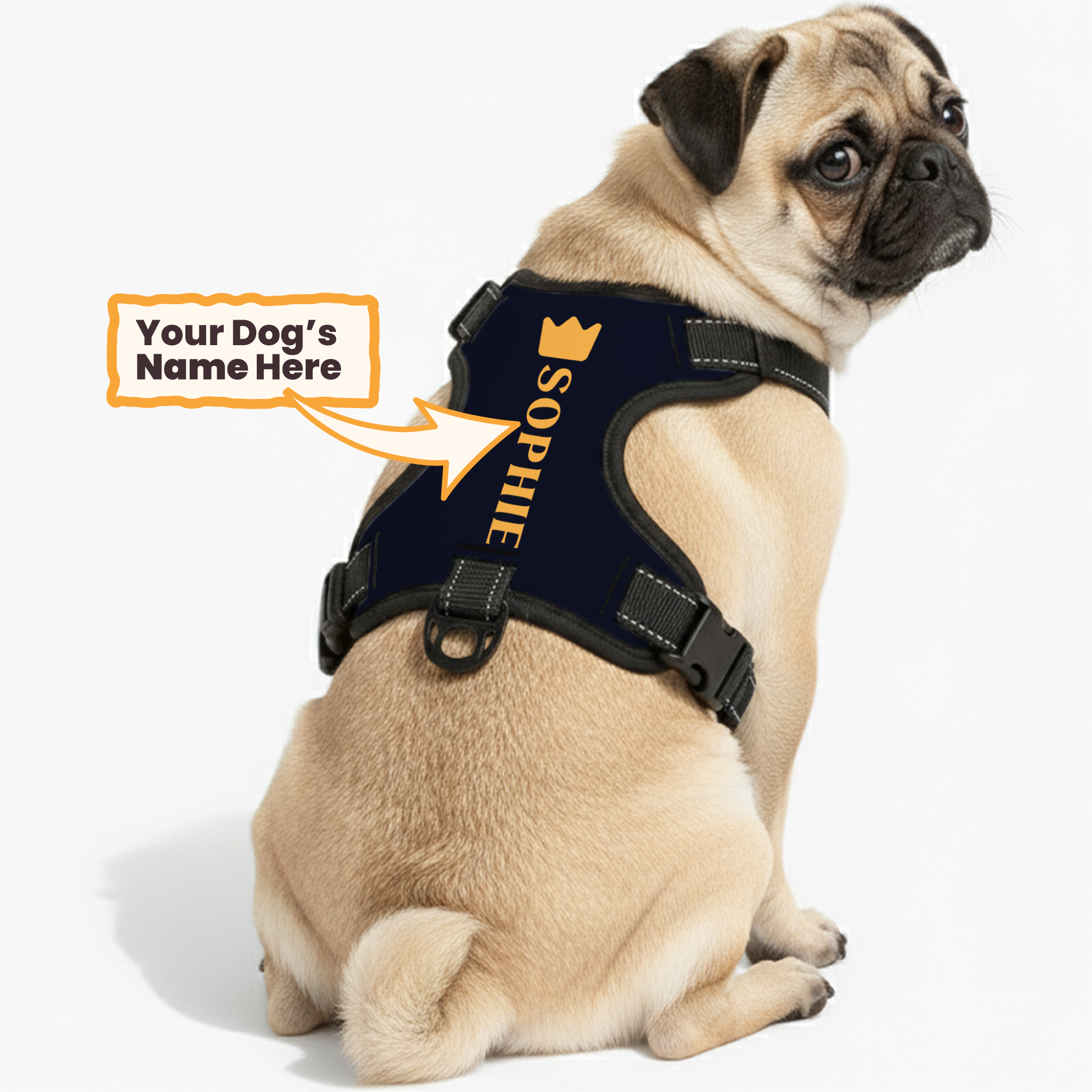 Rune - Custom Dog harness